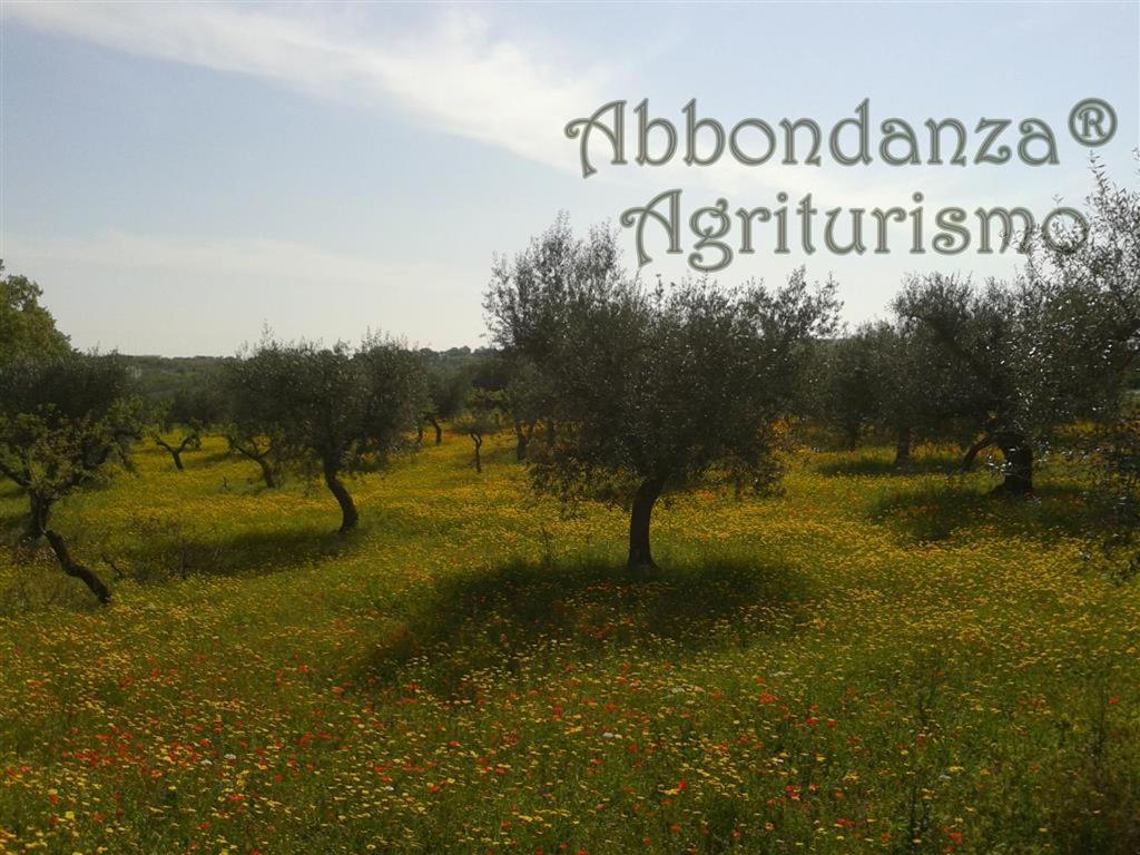 アルベロベッロ Agriturismo Abbondanzaヴィラ エクステリア 写真