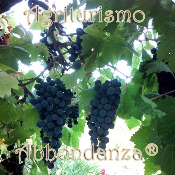 アルベロベッロ Agriturismo Abbondanzaヴィラ エクステリア 写真